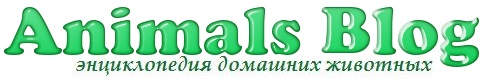 Энциклопедия домашних животных